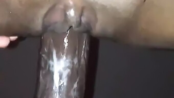 Young Amateur Gets Fucked From Behind By Big Black Cock