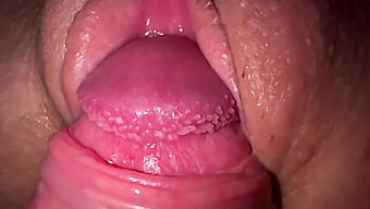 Si Cantik Panas Mendapatkan Cumshot Close-Up Dalam Video Kotor Ini