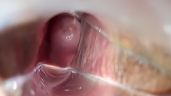 Speculum Orgasm With Cum Shot In Vagina