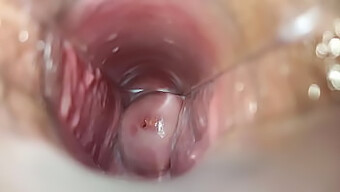 Intense Climax Within The Vaginal Cavity Captured In Explicit Detail