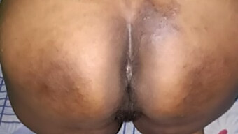 Desi Milf Får Strakt Sit Behårede Hul Af Sin Unge Stud