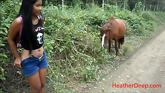 Uploaded Video Of Hd Peeing Next To Horse In Jungle