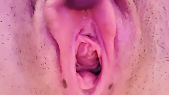 Léchage De Chatte Lesbien Et Orgasme Creampie